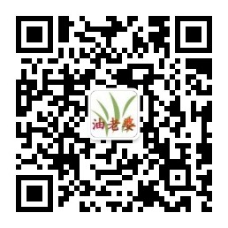 油老婆公众号